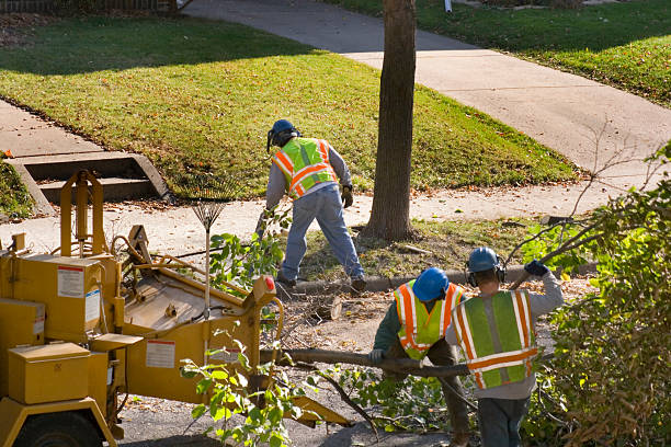 Lawn Drainage Solutions in Breezy Point, MN